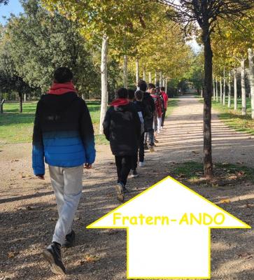 Fratern-ANDO: Red de adolescentes y jóvenes contra el aislamiento social
